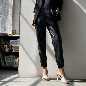 Aritzia vegan leather joggers